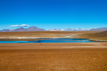 Laguna Collpa lake on bolivian Altiplano