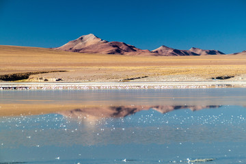 Coast of Laguna Collpa lake in Reserva Nacional de Fauna Andina Eduardo Avaroa protected area, Bolivia