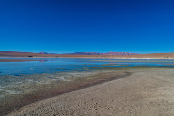 Coast of Laguna Collpa lake in Reserva Nacional de Fauna Andina Eduardo Avaroa protected area, Bolivia