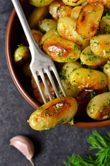 Young fried potatoes with garlic and dill on a black background