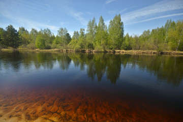 Fototapeta premium Spring in the national park 