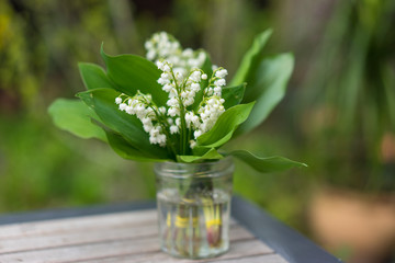 Lily of the valley in a glass pot