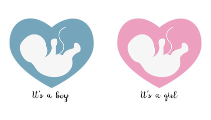 Ultrasonography baby icons on the heart background.