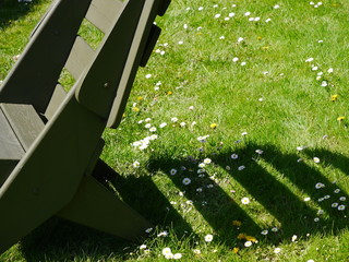 krzesło drewnianne na trawie i cień