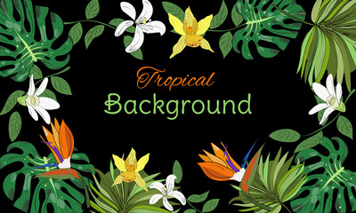 Hand drawn tropical background with tropical leaves, flowers on black background.