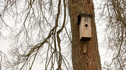 Nistkasten an einem Baum