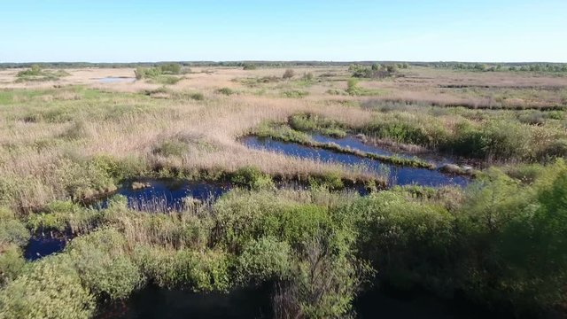 Original aerial shot of the Dnipro river basin with indented coastline, straw looking grass, islets, lakes, patches of greenary, and amazing shyscape in Ukraine in a sunny day in spring