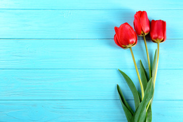 Beautiful tulips on color wooden background