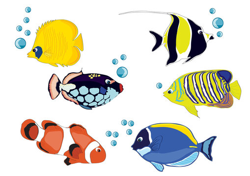 drawing fishes,  illustration, fish crown, yellow fish, blue fish, red fish
