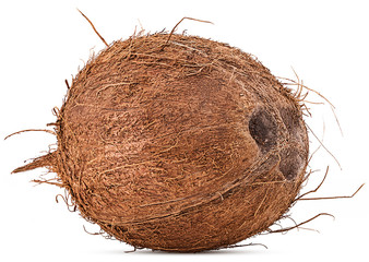 Coconut