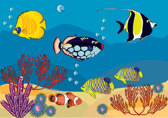 Fototapeta premium Drawing sea, drawing fishes