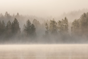 Obraz na płótnie Canvas Foggy forest and lake at dawn 