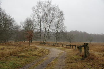 Weg durch die Boberger Dune in Hamburg - Deutschland
