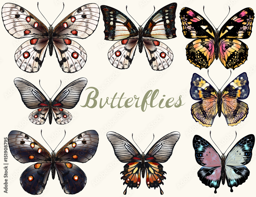Aufkleber collection of vector realistic colorful butterflies for design