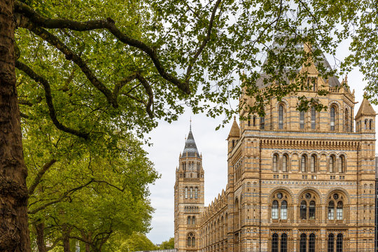 Natural History Museum In London