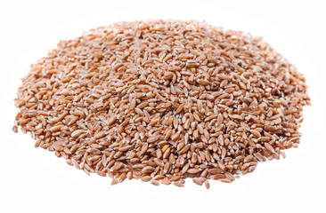 A bunch of spelt on a white background