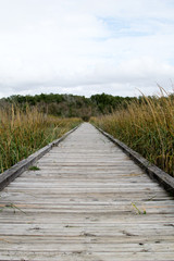 Nature Trail Boardwalk