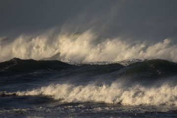Fototapeta na wymiar Waves crashing on beach in Washington State