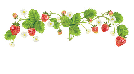 Fototapety  beautiful strawberries. vector illustration of a realistic