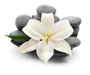 Spa stones with flower on white background