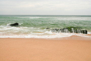 Rock covered in seaweed at beach