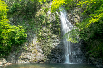 Plakat 大阪・箕面の滝