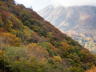 Early fall colors in Nikko National Park - Tochigi prefecture, Japan