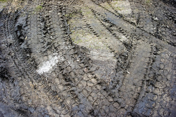 Tire tracks on a muddy road.