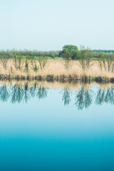 Dry reeds, trees and skies are reflected in the water.