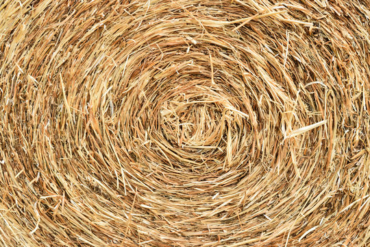 straw bale rolled up
