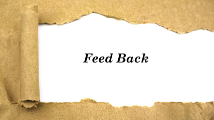 Torn paper with word "feed back"