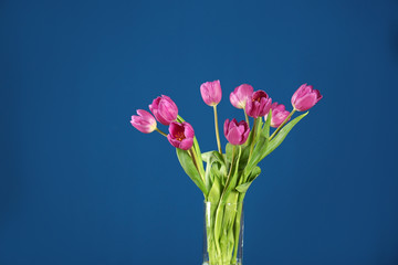 Vase with beautiful bouquet of lilac tulips on color background
