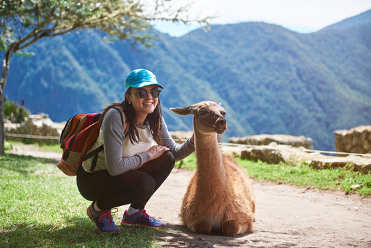 Woman Meet Lama In Hiking Trail