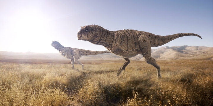 A 3d rendering of two Carnotaurus scouting out for their next meal in open landscape. 