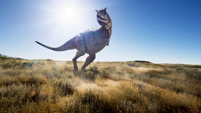 A 3d rendering of Carnotaurus looking for food in a flat and dry landscape.