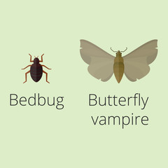 Colorful insects icons isolated wildlife wing detail summer worm caterpillar bugs wild vector illustration.