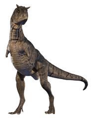 A 3d rendering of Carnotaurus sastrei standing tall.
