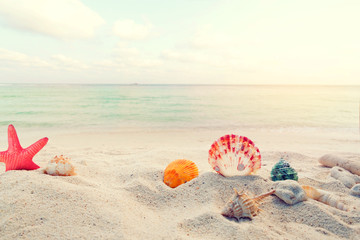 Obraz premium Concept of summertime on tropical beach. Seaside summer beach with starfish, shells, coral on sandbar and blur sea background. vintage color tone.