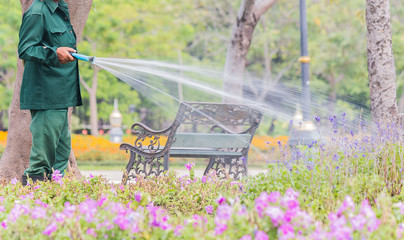 gardener watering flower in garden