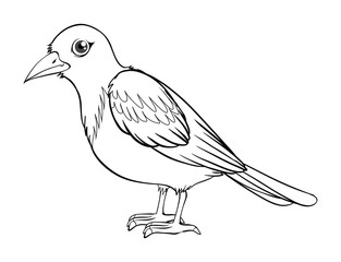 Animal outline for bird
