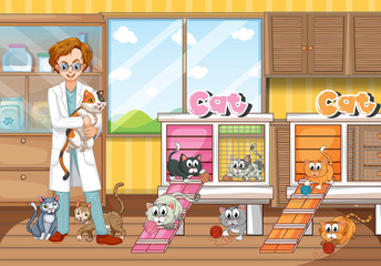 Vet and cats in clinic