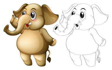 Animal outline for cute elephant