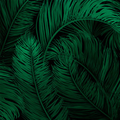 Tropical palm leaves set, drawn vector collection. Isolated on background. Decorative elements, botanical pattern, trendy design.