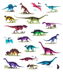 Set, silhouettes, dino skeletons, dinosaurs, fossils. Hand drawn vector illustration. Comparison of sizes, realistic Sketch collection: diplodocus, triceratops, tyrannosaurus, doodle pattern...