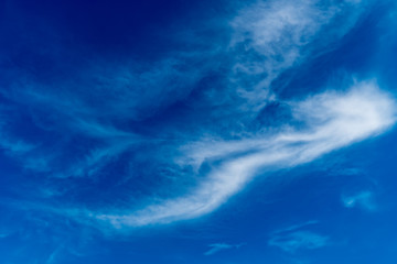 Fototapeta na wymiar White cloud with Blue sky