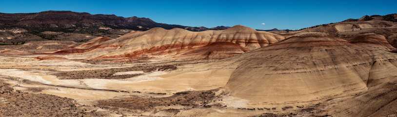 Above the Painted Hills