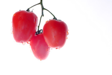 Fetus of tomatoes notable of a hight gustatory and dietary qualitys.