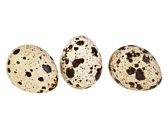 Obraz premium Group of quail eggs isolated on a white background