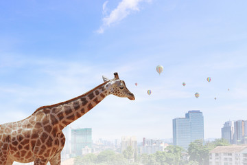 Obraz premium Power and leadership concept