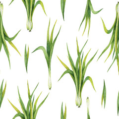 Hand drawn watercolor seamless pattern of Lemon grass.
